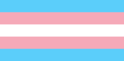 The lives of transgender individuals